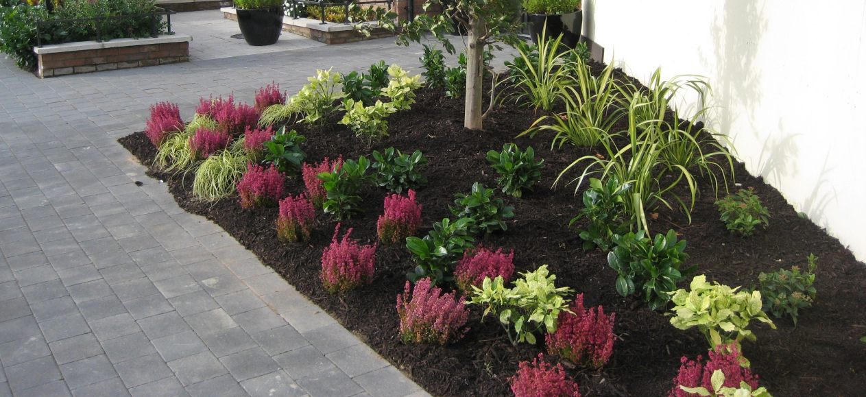 Fine Bark Mulch
