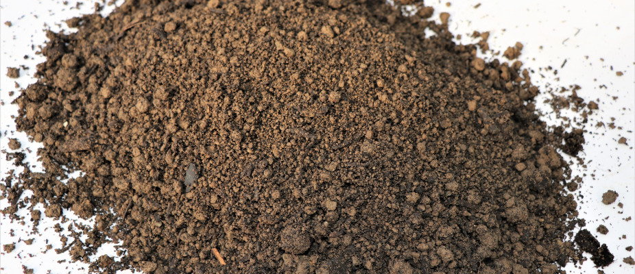 Screened Topsoil