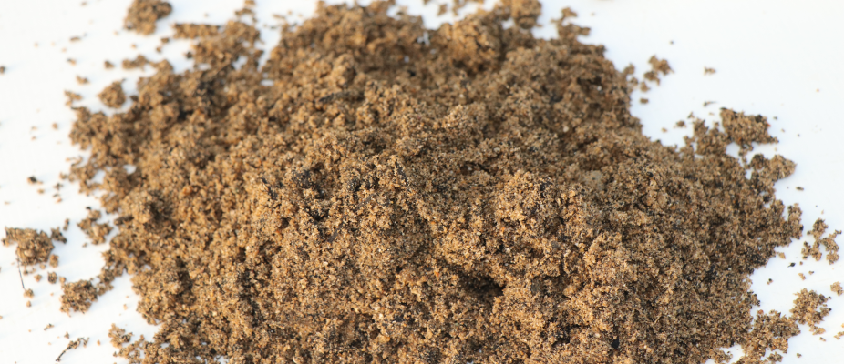 Enrich Topdressing